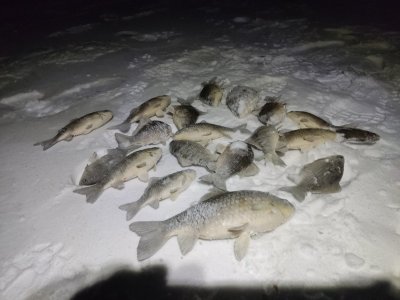 Каинские похождения