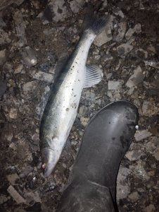 Не сходя с места!..