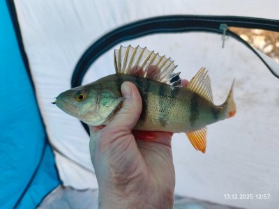 На малой речке.