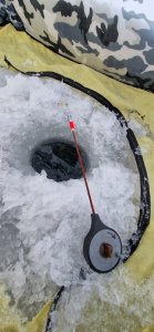 Царская рыба