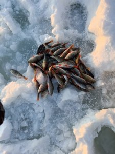 Озеро Юго-Западное 21.12.2025