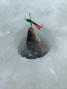 Матвеевские протоки