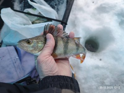 С безмотылкой на речке.