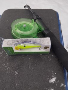 Вьюна предновогодняя!..