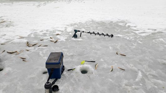 Затон, две рыбалки до рыбного дня