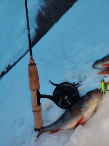 Матвеевские протоки