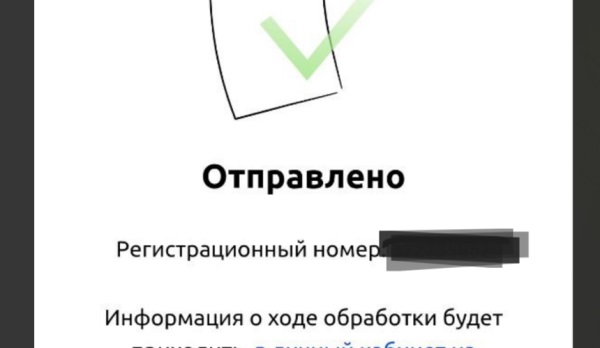 &laquo;МИД, примите меры&raquo;: родные удерживаемой в Египте туристки написали письмо в министерство