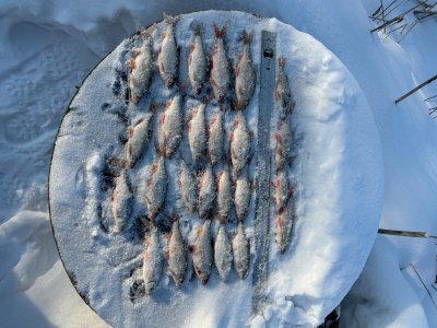 Озеро глухое 14.12.2025