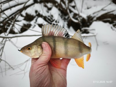 Отдых на красивой Колыванской речушке.