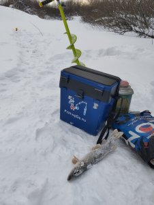 Вьюна предновогодняя!..