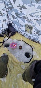 Туда не туда. - 15