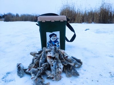 Каинские похождения