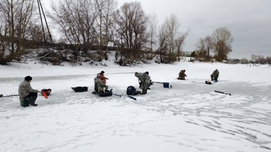 Затон, две рыбалки до рыбного дня