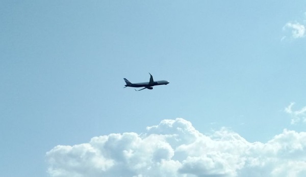 &ldquo;Скрутили и вывели&rdquo;: агрессивную пассажирку на рейсе из Москвы помог задержать певец Алексей Глызин