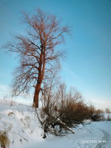 На малой речке снова.