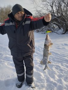 Вьюна или "Звёздный"час Свояка!..