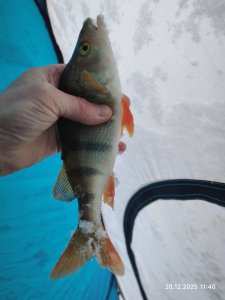 С безмотылкой на речке.