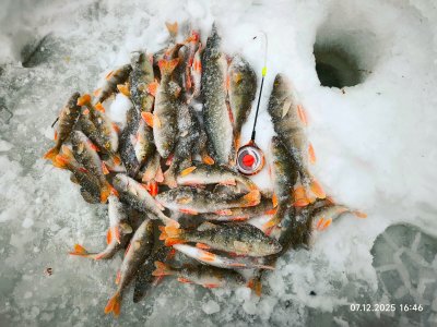 Отдых на красивой Колыванской речушке.