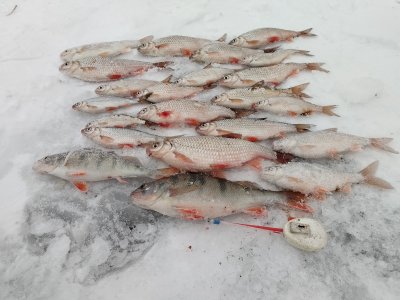 ОВХ. Вторая половина дня малёха сработала.