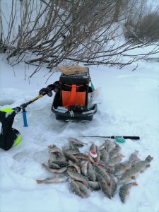 20.12.2025 г. Колываны