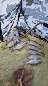 Туда не туда. - 15