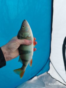 На малой речке снова.