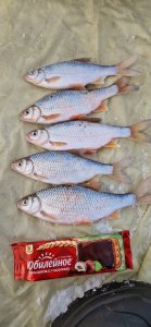 Туда не туда. - 15