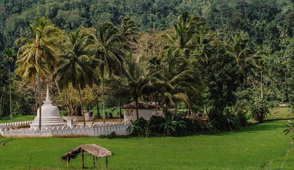 Туристы вылетели на Шри-Ланку из Новосибирска на трое суток позже графика