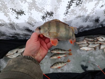 Снежный Инструментальный!