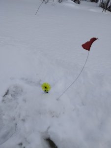 Вьюна предновогодняя!..