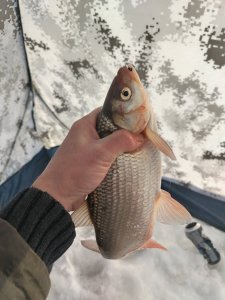 ОВХ. " Энтузиасты"