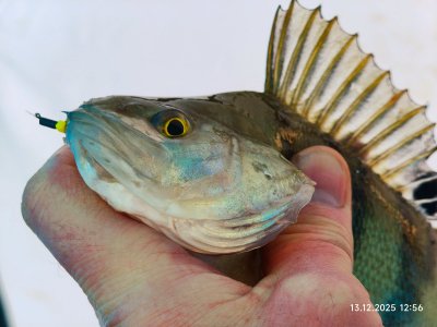 На малой речке.