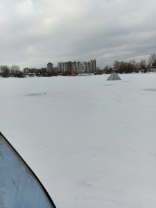 В Затоне плотва