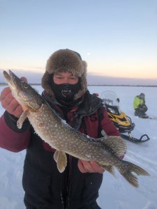 Открытие в Томской области