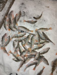 Матросики порадовали от души.