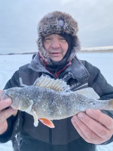 Открытие в Томской области