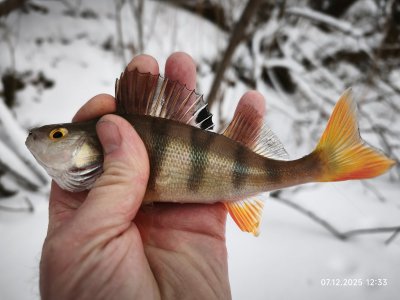 Отдых на красивой Колыванской речушке.